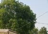 वाराणसी में अवैध बालू खनन पर बड़ा प्रहार, 104 वाहन सीज