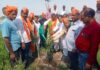 विश्व पर्यावरण दिवस पर एमएलसी ने किया पौधारोपण