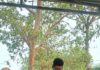 तरुणाई से चिरायु तक का सफ़र:एक समर्पित कांग्रेसी योद्धा परमा नन्द तिवारी