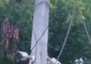लोहता थाना क्षेत्र के 6 प्रमुख चौराहों पर लोहता थाना प्रभारी दिगंबर उपाध्याय द्वारा कैमरे लगवाए गए* *ऑफिस में बैठे-बैठे भी करते हैं क्षेत्र की मॉनेटरी