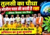 तुलसी का पौधा ओजोन परत की करता है रक्षा – प्रोफेसर विश्वभर नाथ मिश्रा